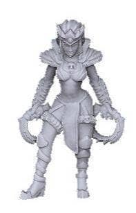 Chakram Fighter-Onmioji-Elf,Female,Fighter,Rogue