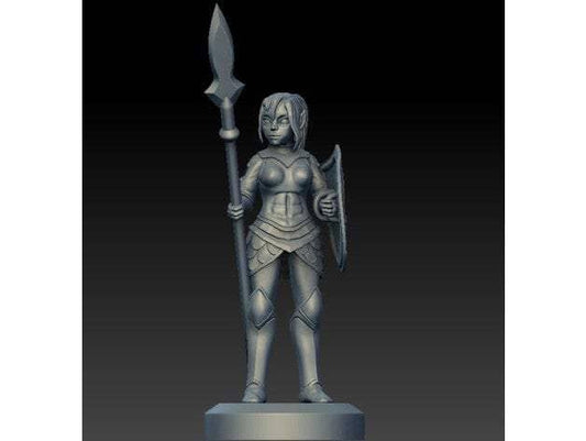 Elf Spearmaiden-Onmioji-Cleric,Elf,Female,Fighter,Paladin