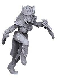 Elven Assassin-Onmioji-Elf,Female,Rogue