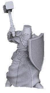 Hammer & Shield Templar-Onmioji-Cleric,Fighter,Human,Paladin