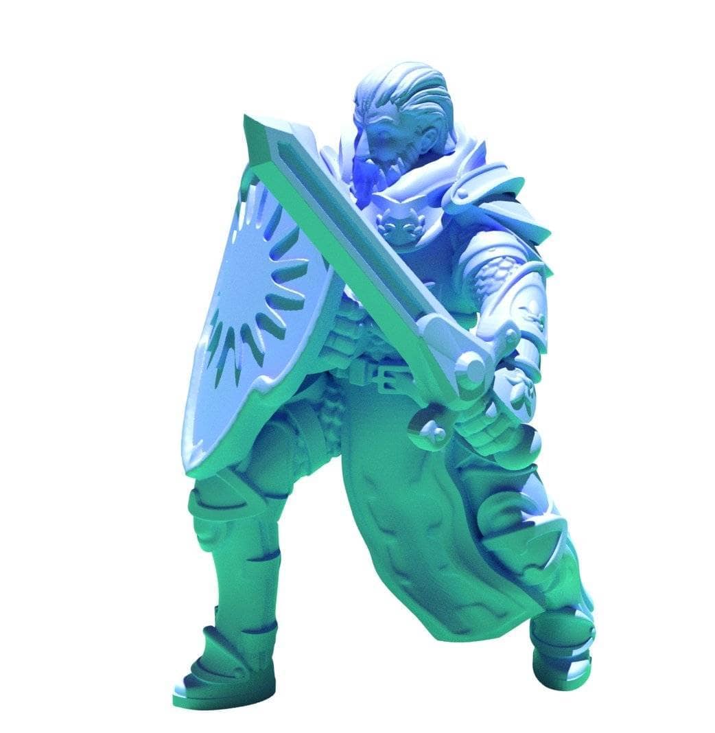 Helmetless Paladin Sword and Shield-Onmioji-Cleric,Fighter,Human,Paladin