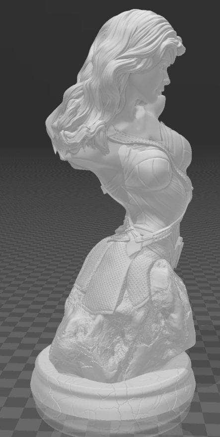 Malix/Sanix Wonder Woman Bust-Malix/Sanix-Bust,Display Model