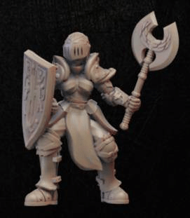 Onmioji Miniature Shield Knight