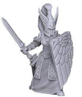 Sword & Shield High Elf-Onmioji-Cleric,Elf,Fighter,Paladin