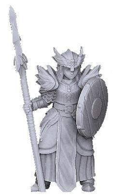 Valkyrie Spearmaiden-Onmioji-Cleric,Female,Fighter,Human,Paladin,Valkyrie